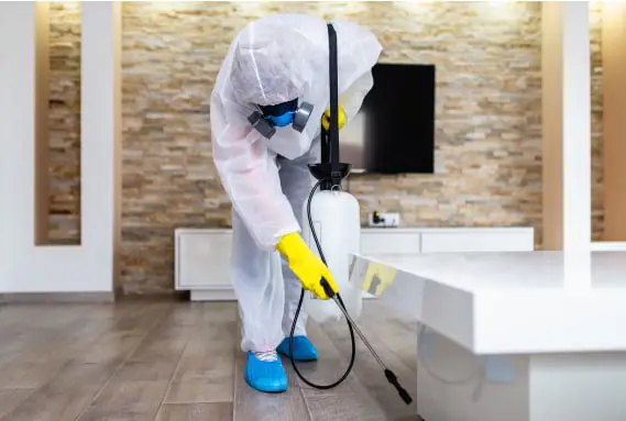 Commercial Pest Control Exterminator Spraying Under Table